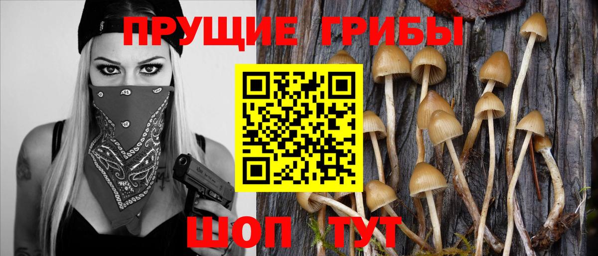 Галлюциногенные грибы Cubensis  Псилоцибиновые грибы мицелий  наркотики  Железноводск  Вход с VPN 
